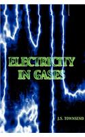 Electricity in Gases (High Voltage Physics Series)