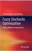 Fuzzy Stochastic Optimization