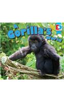 Gorilla's World