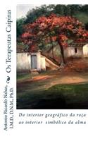OS Terapeutas Caipiras: Do Interior Geografico Ao Interior Simbolico Da Alma