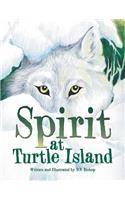 Spirit at Turtle Island