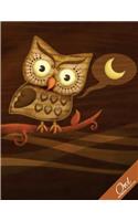 Owl Notebook Collection