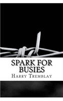 Spark for Busies