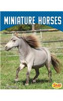 Miniature Horses