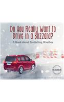 Do You Really Want to Drive in a Blizzard?