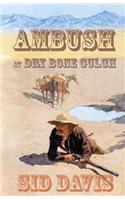 Ambush at Dry Bone Gulch