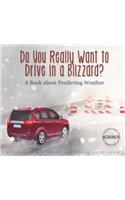 Do You Really Want to Drive in a Blizzard?