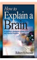 How to Explain a Brain
