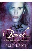 Bound, Vol. 2: Volume 5