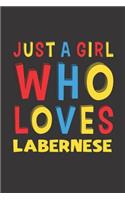 Just A Girl Who Loves Labernese