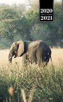 Elephant Mammoth Week Planner Weekly Organizer Calendar 2020 / 2021 - In High Grass