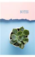 Notes