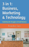 3 in 1: Business, Marketing & Technology: Exploiting the Struggles of Small Business(1 3 in 1)