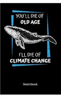 You´ll die of old age. I´ll die of climate change. Sketchbook: Climate Change Journal and Notebook against ocean pollution, Sketch Paper 6x9.