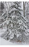 2019 Daily Planner Woods After Snowstorm Winter Weather 384 Pages