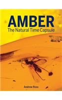 Amber: The Natural Time Capsule