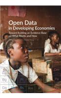 Open Data in Developing Economies