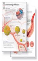 Understanding Cholesterol Study Set Replacement Pads