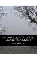 Fog & Ice Creating a Veil - Color Photographs