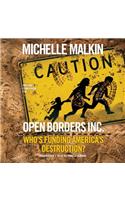Open Borders, Inc. Lib/E