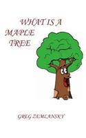 What Is A Maple Tree