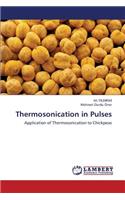 Thermosonication in Pulses