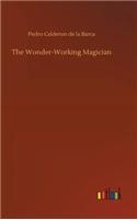 The Wonder-Working Magician