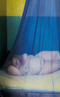 Ulrich Seidl: Paradise Love Faith Hope
