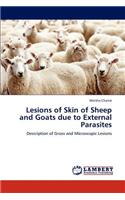 Lesions of Skin of Sheep and Goats Due to External Parasites