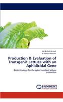 Production & Evaluation of Transgenic Lettuce with an Aphidicidal Gene