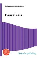 Causal Sets