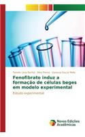 Fenofibrato induz a formação de células beges em modelo experimental