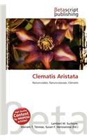 Clematis Aristata: (English)