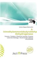 4-Trimethylammoniobutyraldehyde Dehydrogenase