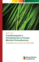 Transformações e Permanências no Cavalo Marinho Pernambucano