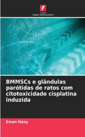 BMMSCs e glândulas parótidas de ratos com citotoxicidade cisplatina induzida