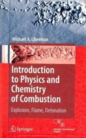 Introduction To Physics And Chemistry Of Combustion: Explosion, Flame, Detonation