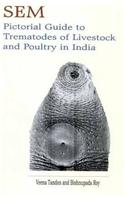 Pictorial Guide to Trematodes of Livestock and Poultry in India