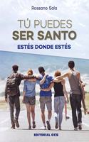 Tu puedes ser santo: Estes donde estes