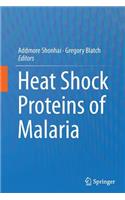 Heat Shock Proteins of Malaria