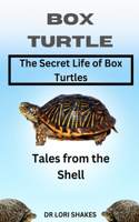 A Comprehensive Guide to Box Turtles