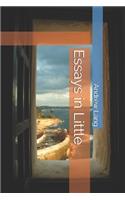 Essays in Little