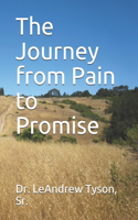 The Journey from Pain to Promise
