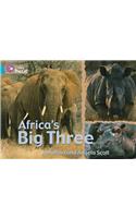 Africa’s Big Three