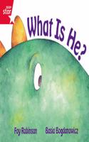 Rigby Star  Guided Reception Red Level:  What is He? Pupil Book (single): (RIGBY STAR)