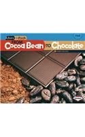 From Cocoa Bean to Chocolate