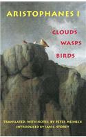 Clouds, Wasps, Birds