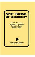 Spot Pricing of Electricity