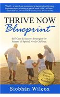 Thrive Now Blueprint