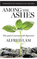Among The Ashes